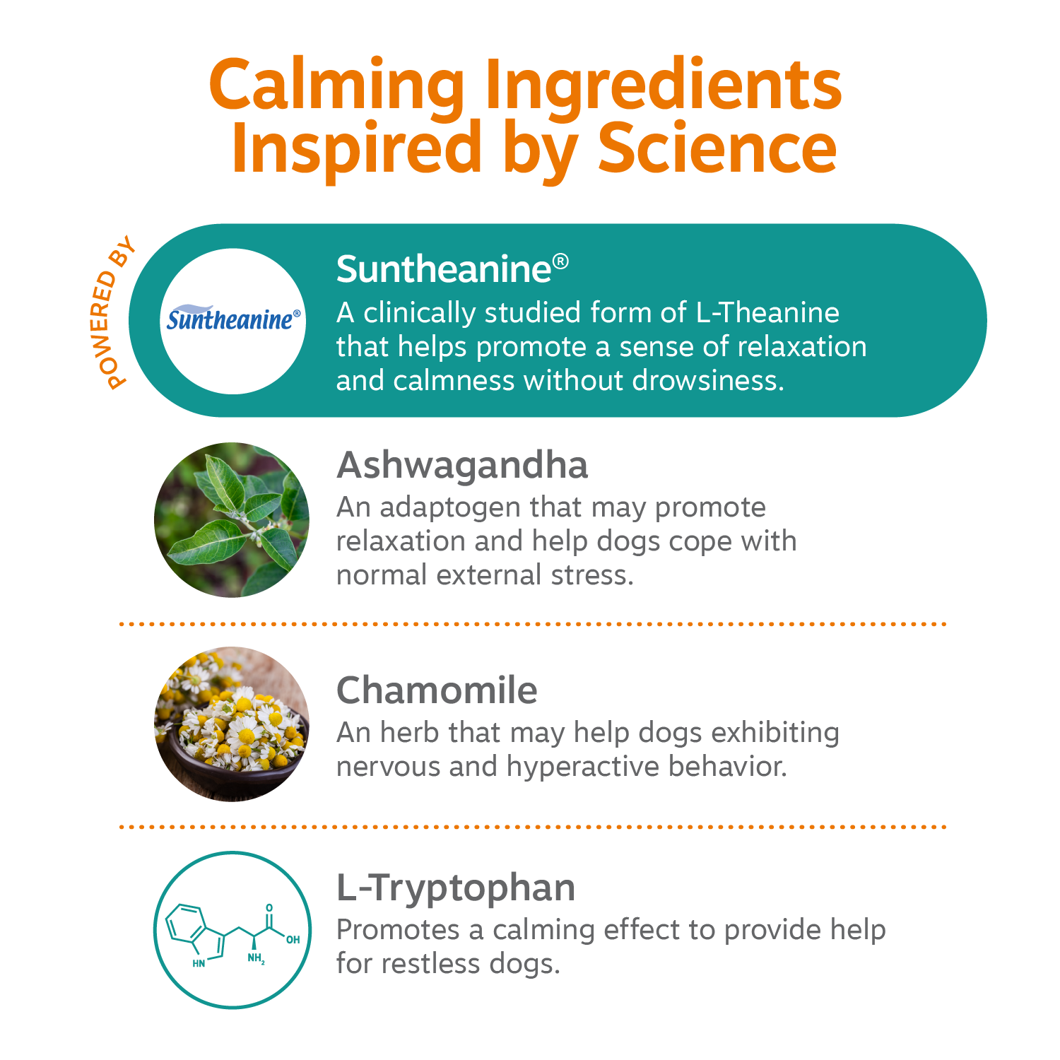 Calming Bites for Dogs