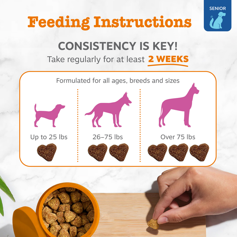 Senior Advanced Hip & Joint Bites for Senior Dogs