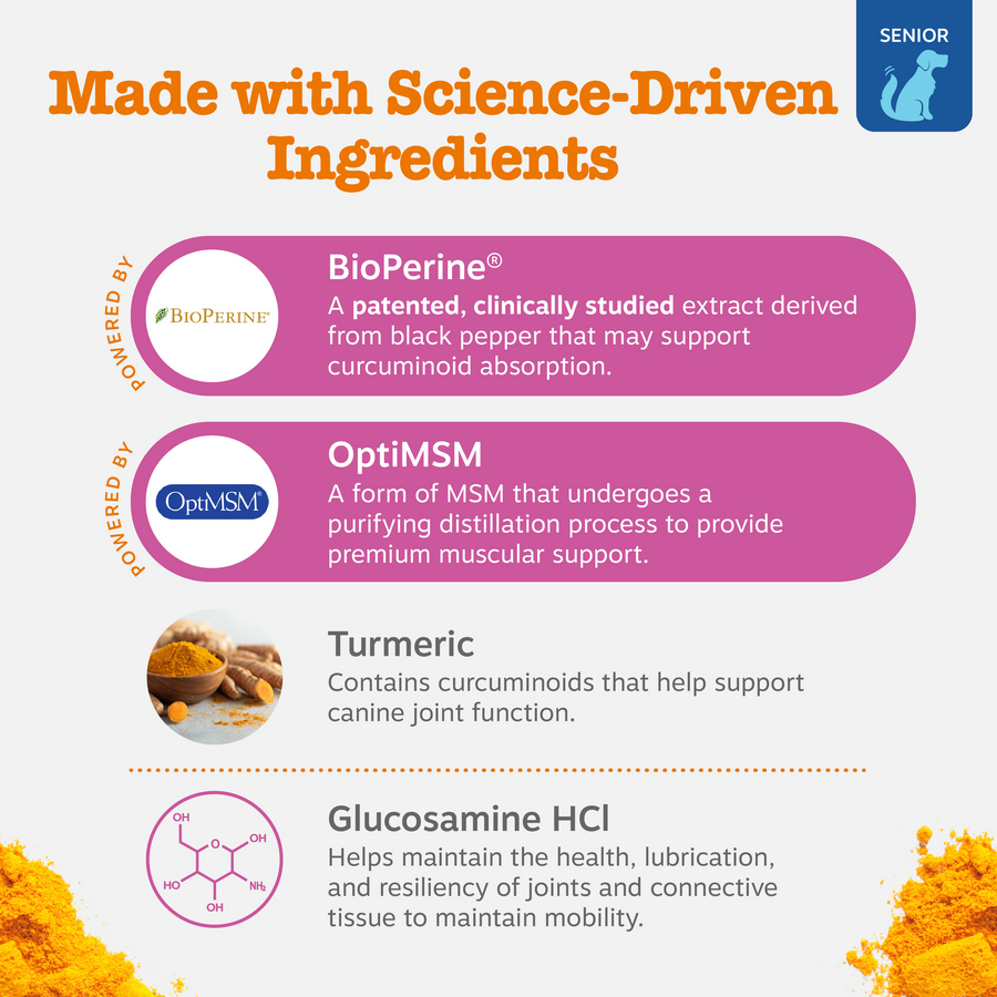 Senior Advanced Hip & Joint Bites for Senior Dogs