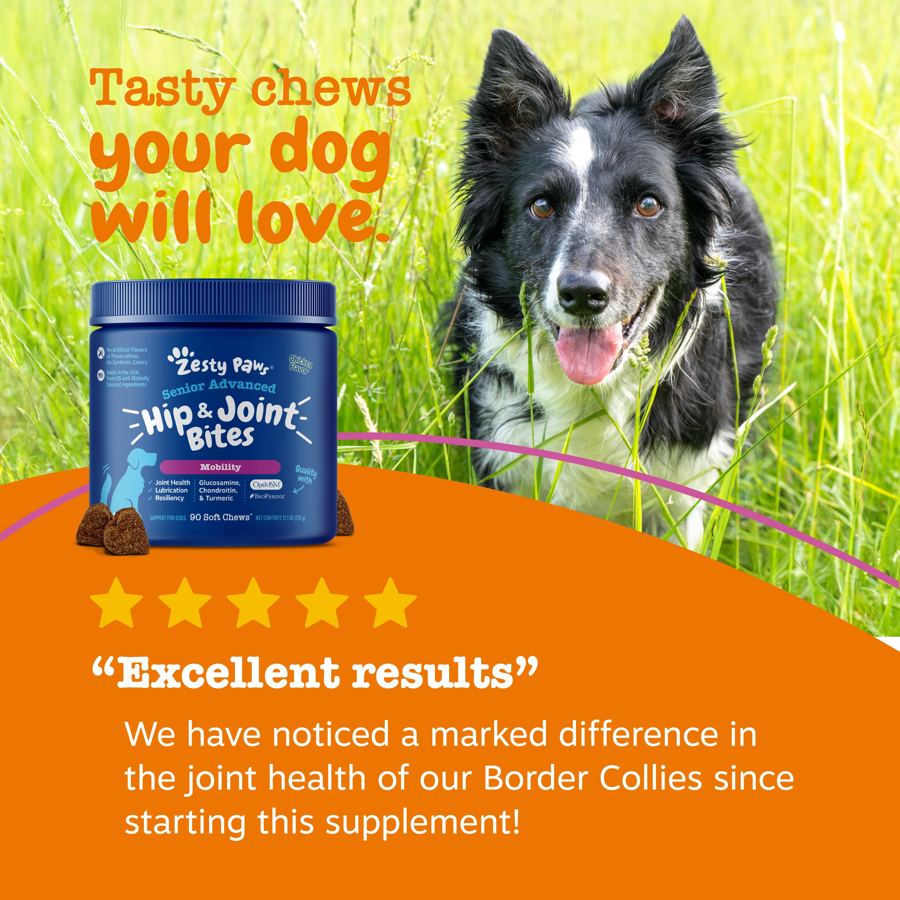 Senior Advanced Hip & Joint Bites for Senior Dogs