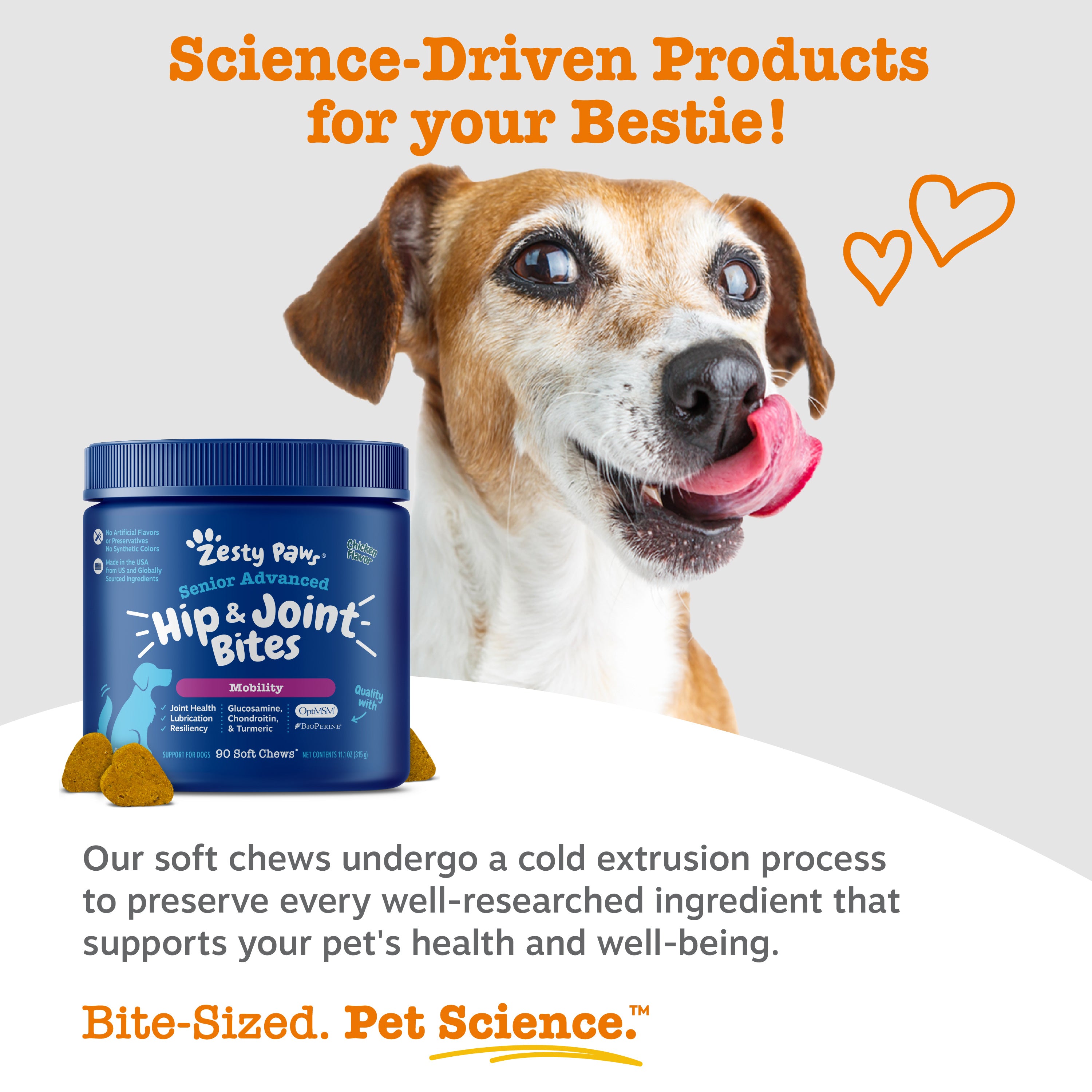 Senior Advanced Hip & Joint Bites for Senior Dogs