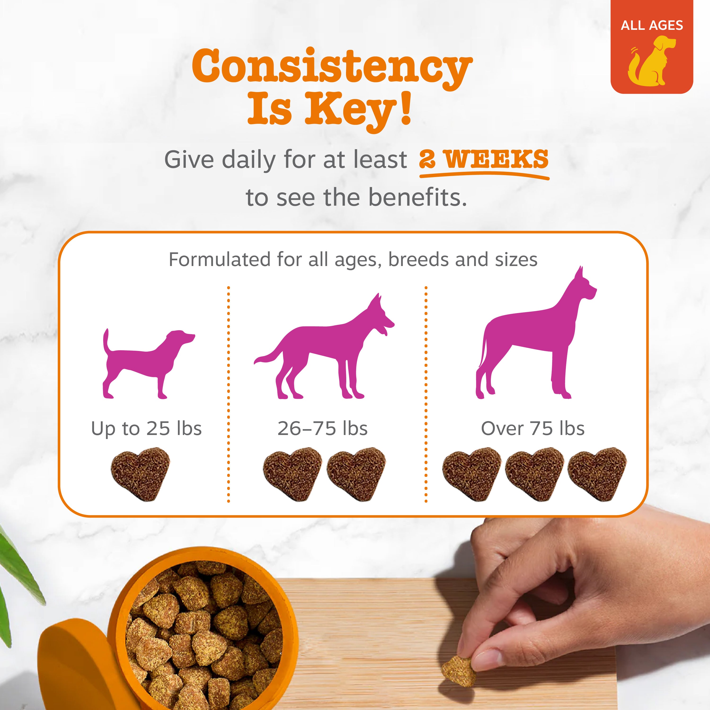 Mussel Hip & Joint Bites™ for Dogs