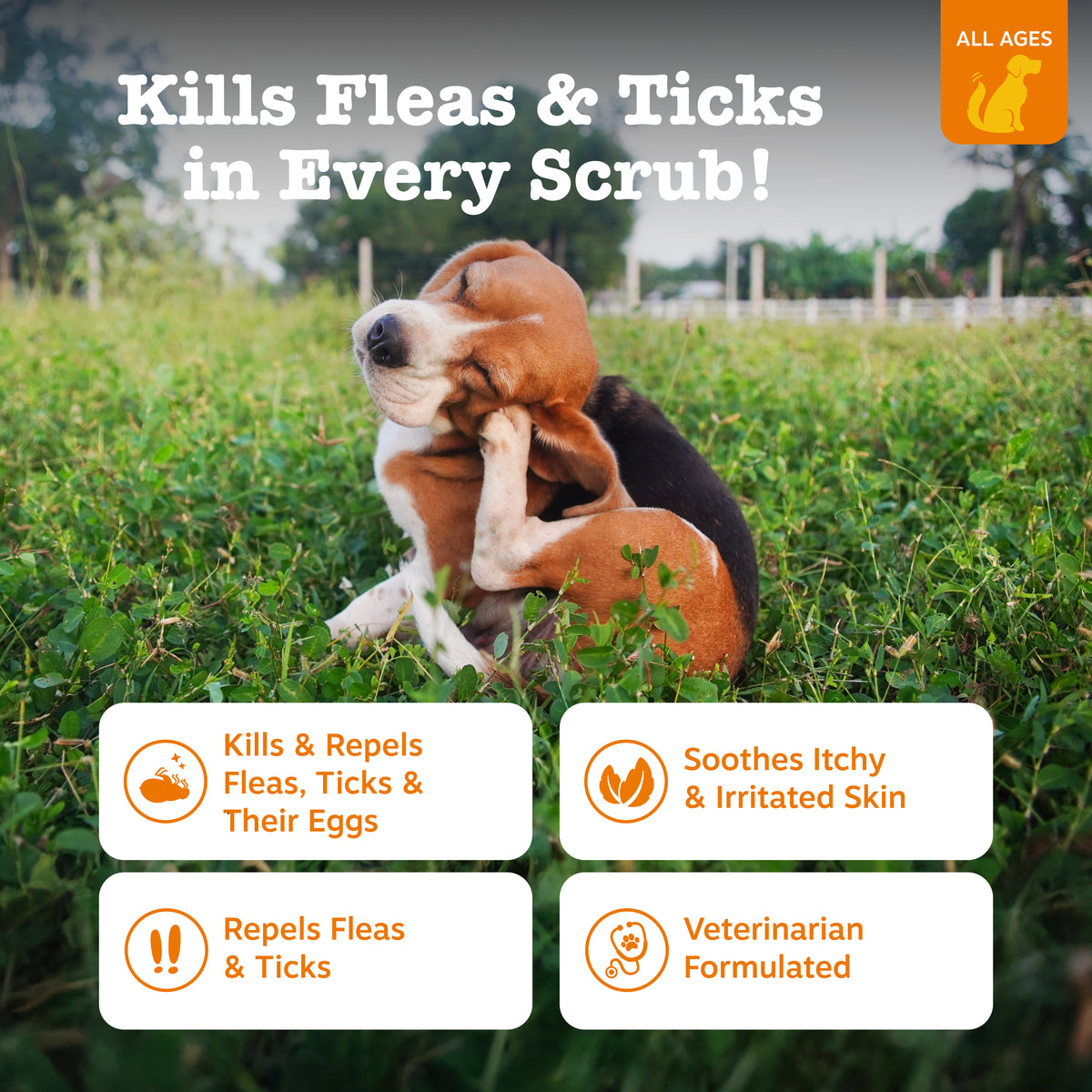 Flea & Tick Spray for Dogs