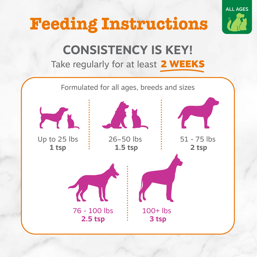 Hemp Elements™ Salmon Omega Oil + Hemp for Dogs and Cats