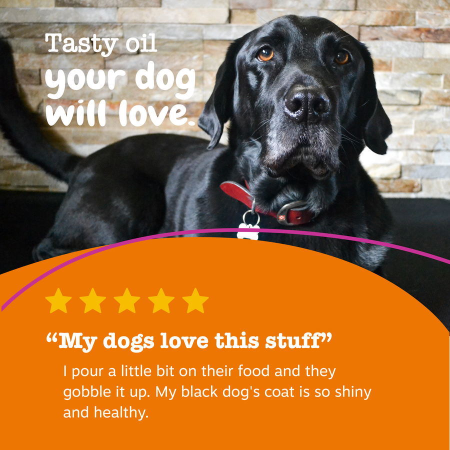 Hemp Elements™ Salmon Omega Oil + Hemp for Dogs and Cats