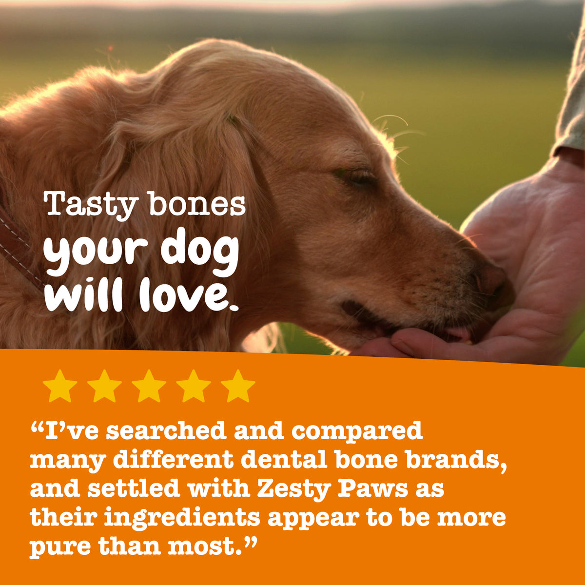 Allergy & Immune Mini Bites for Small Dogs