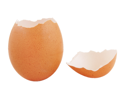 Eggshell Membrane Eggshell Membrane