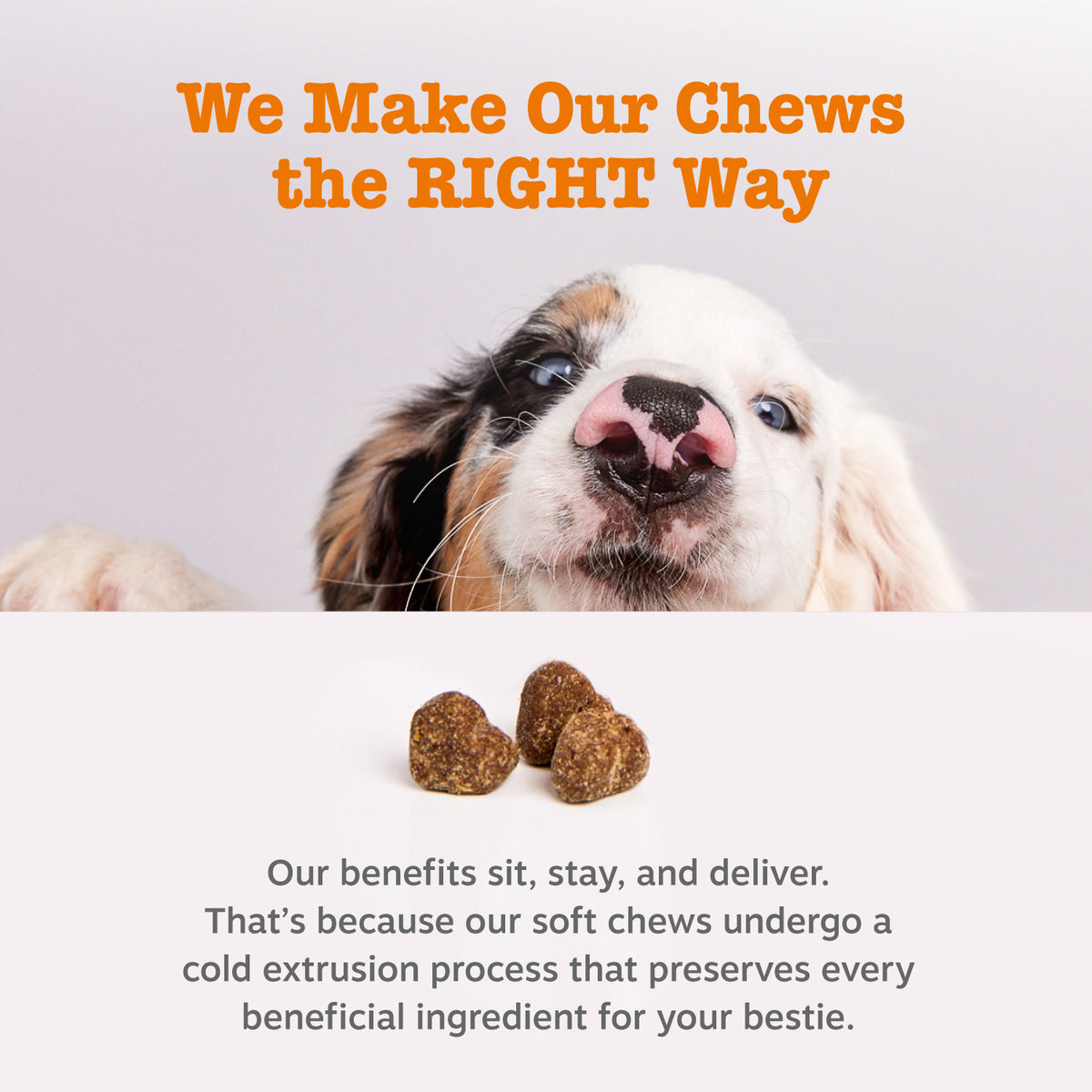 Flea & Tick Bundle
