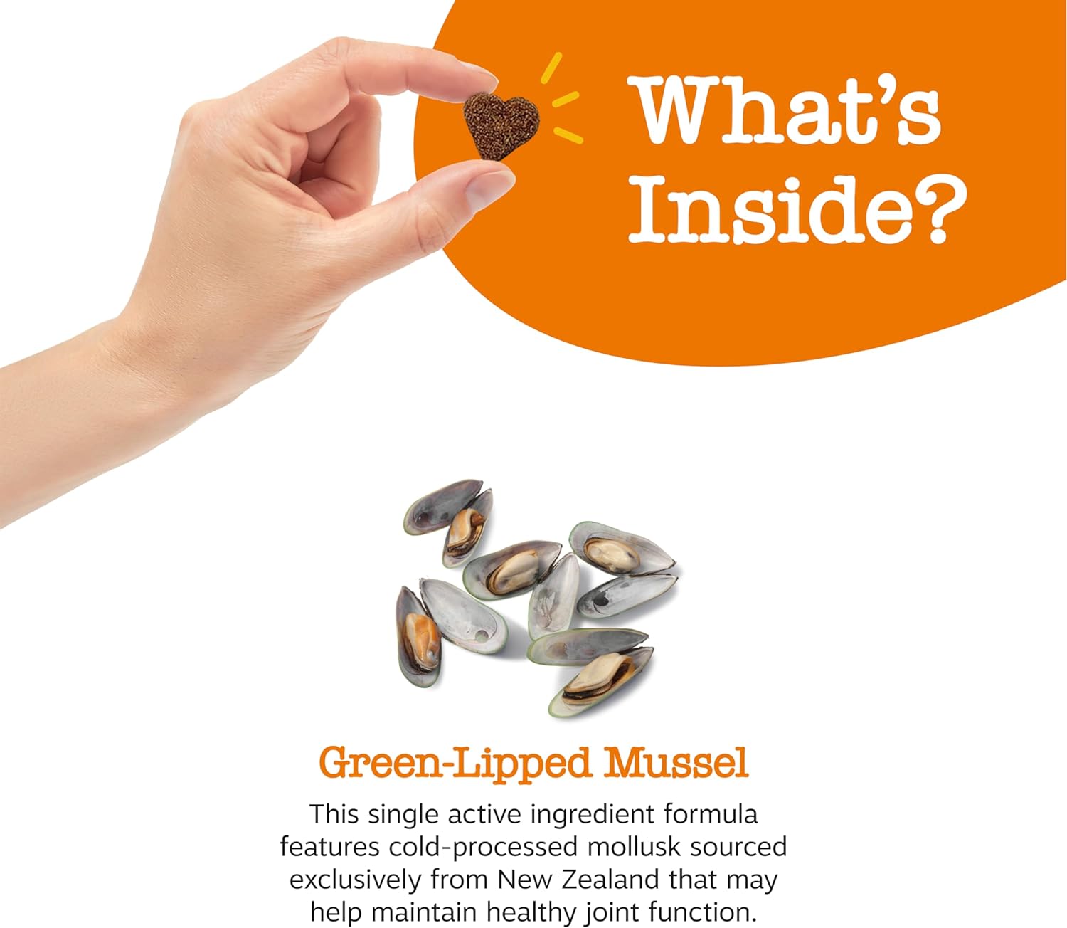 Mussel Hip & Joint Bites™ for Dogs