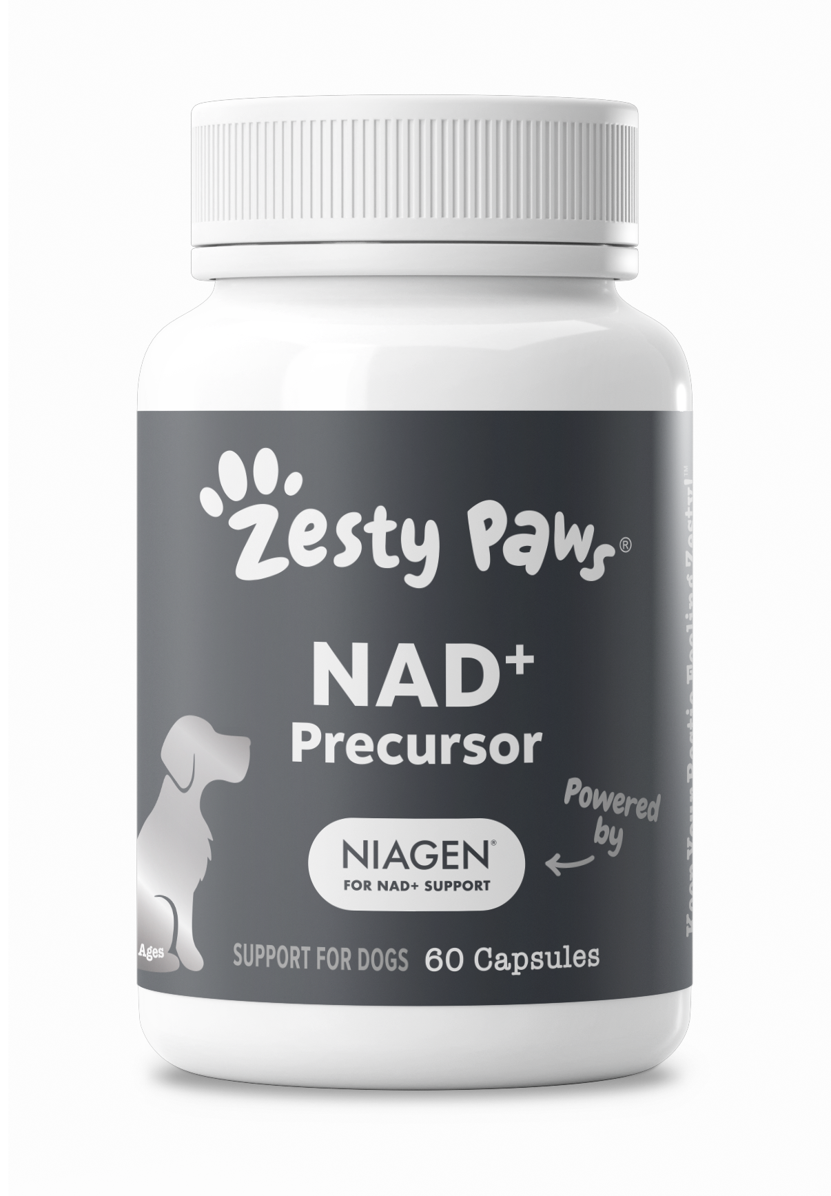 Vet Strength Healthy Aging™ Niagen 60ct + Pill Wrap