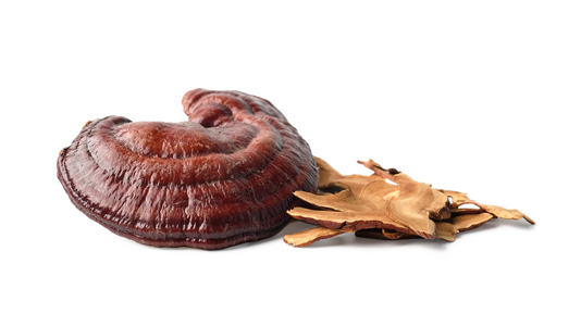 Organic Reishi Organic Reishi