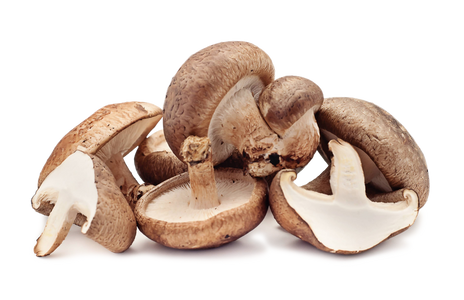 Organic Shiitake Organic Shiitake
