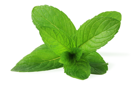 Peppermint Oil Peppermint Oil
