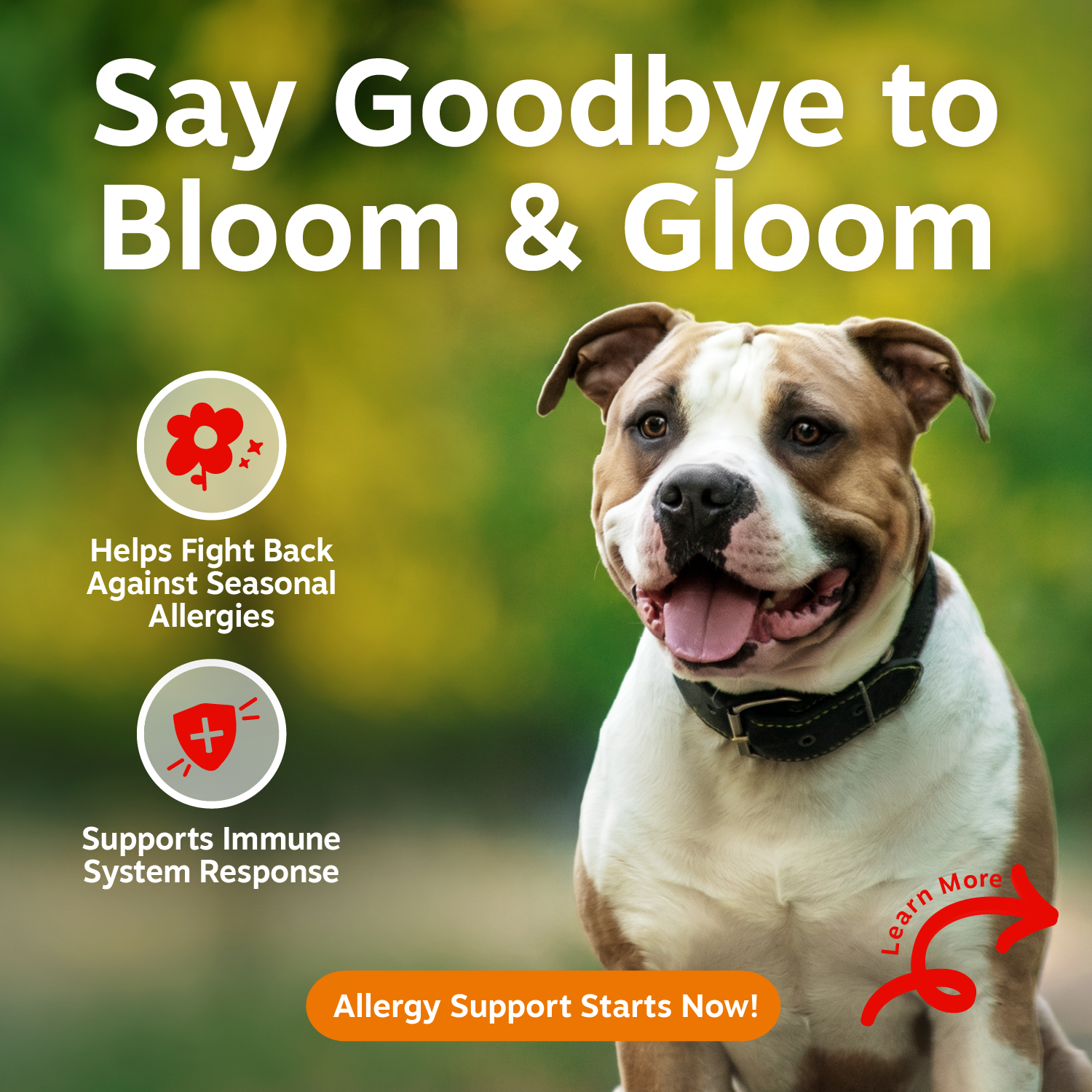 Vet Strength Allergy & Immune Bites for Dogs