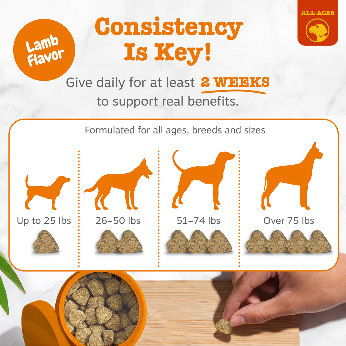 Allergy & Immune Bites for Dogs