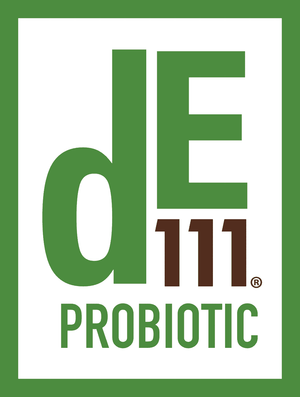 DE111 DE111