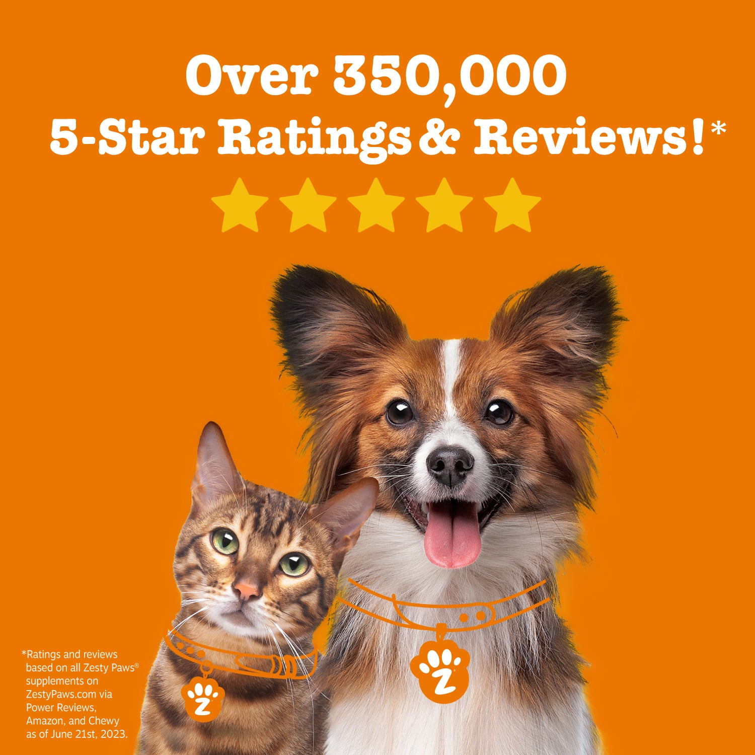 Probiotic Bites for Dogs