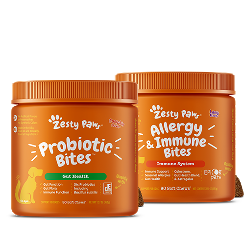 Probiotic bites for dogs hotsell