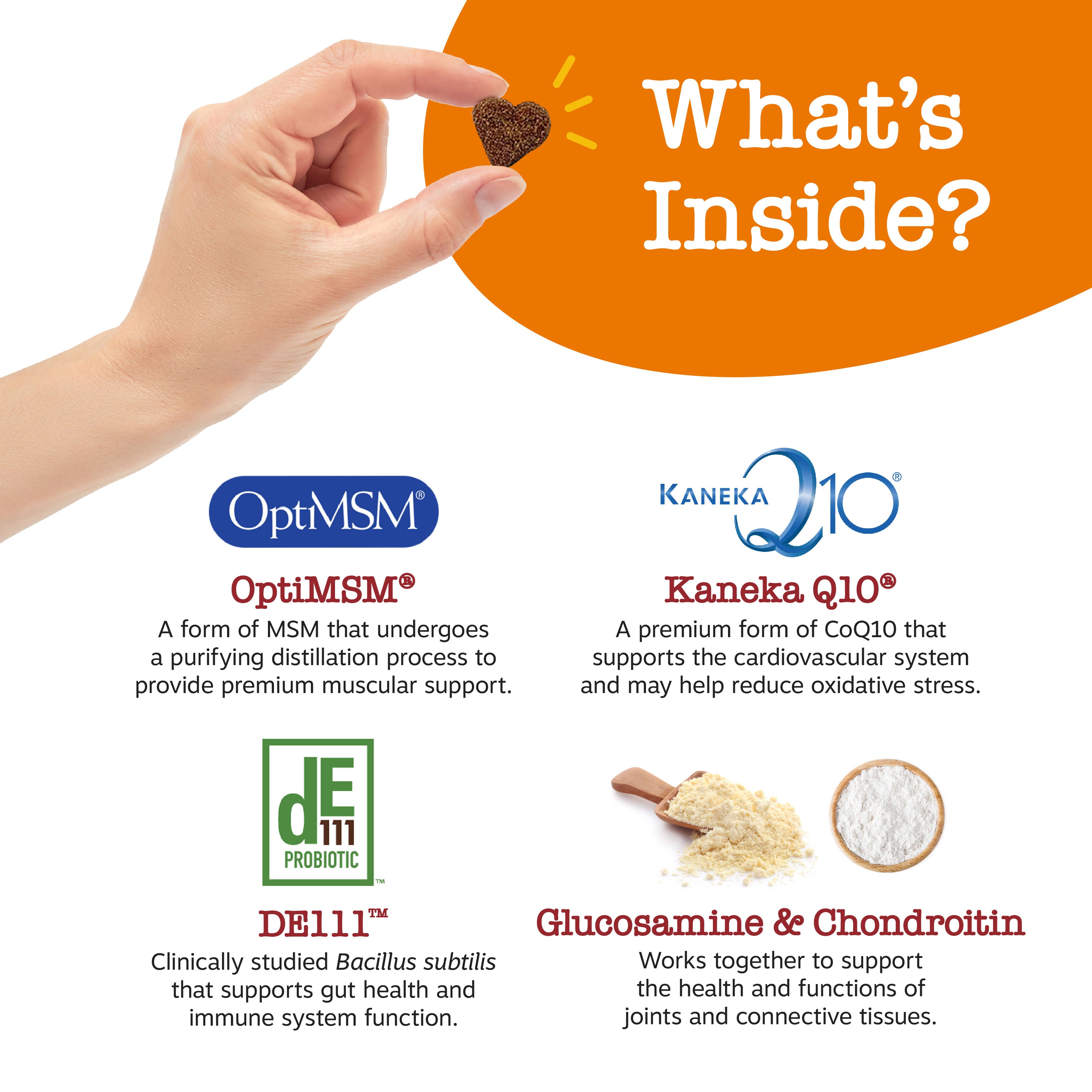 Ancient Elements™ 8-in-1 Multifunctional Bites™ for Dogs