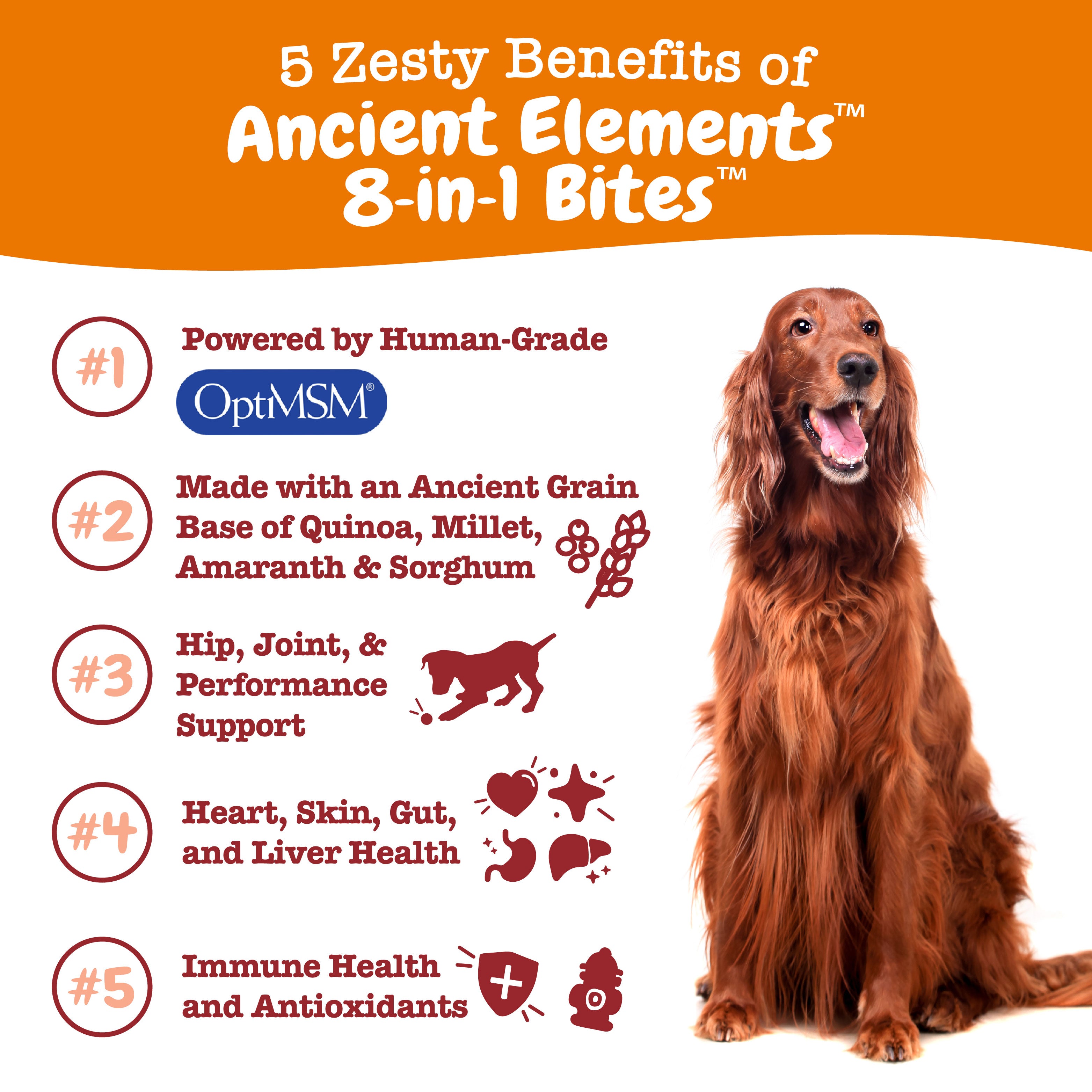 Ancient Elements™ 8-in-1 Multifunctional Bites™ for Dogs