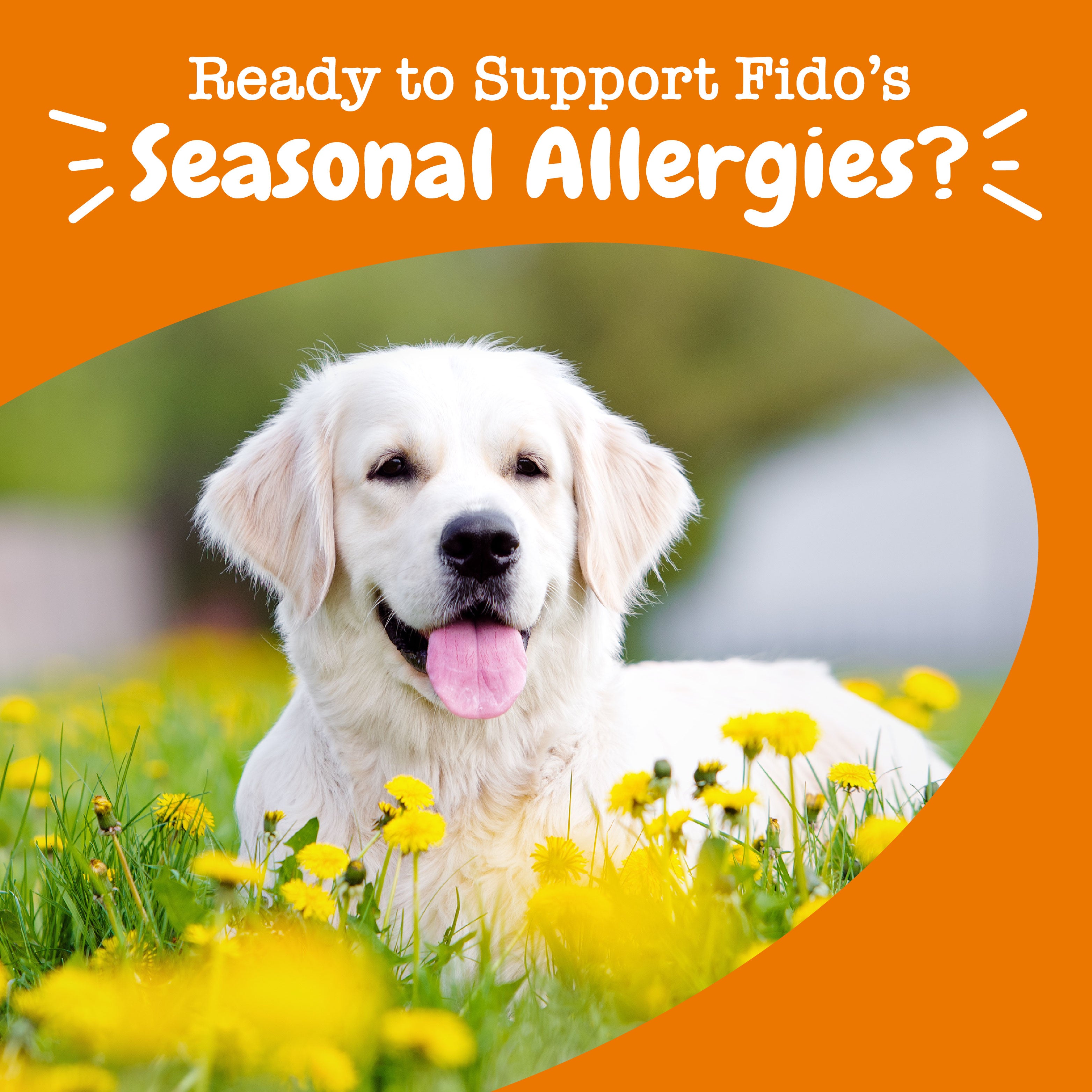 Ancient Elements™ Aller-Immune Bites™ for Dogs