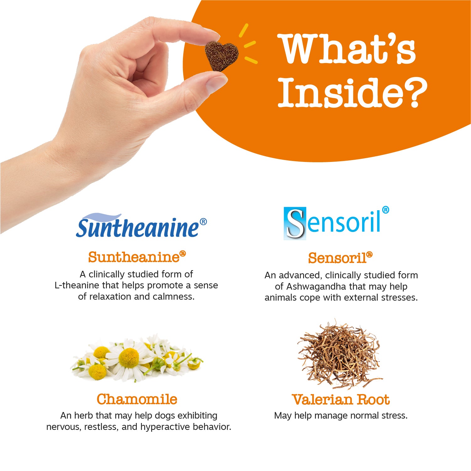 Calming Bites for Dogs