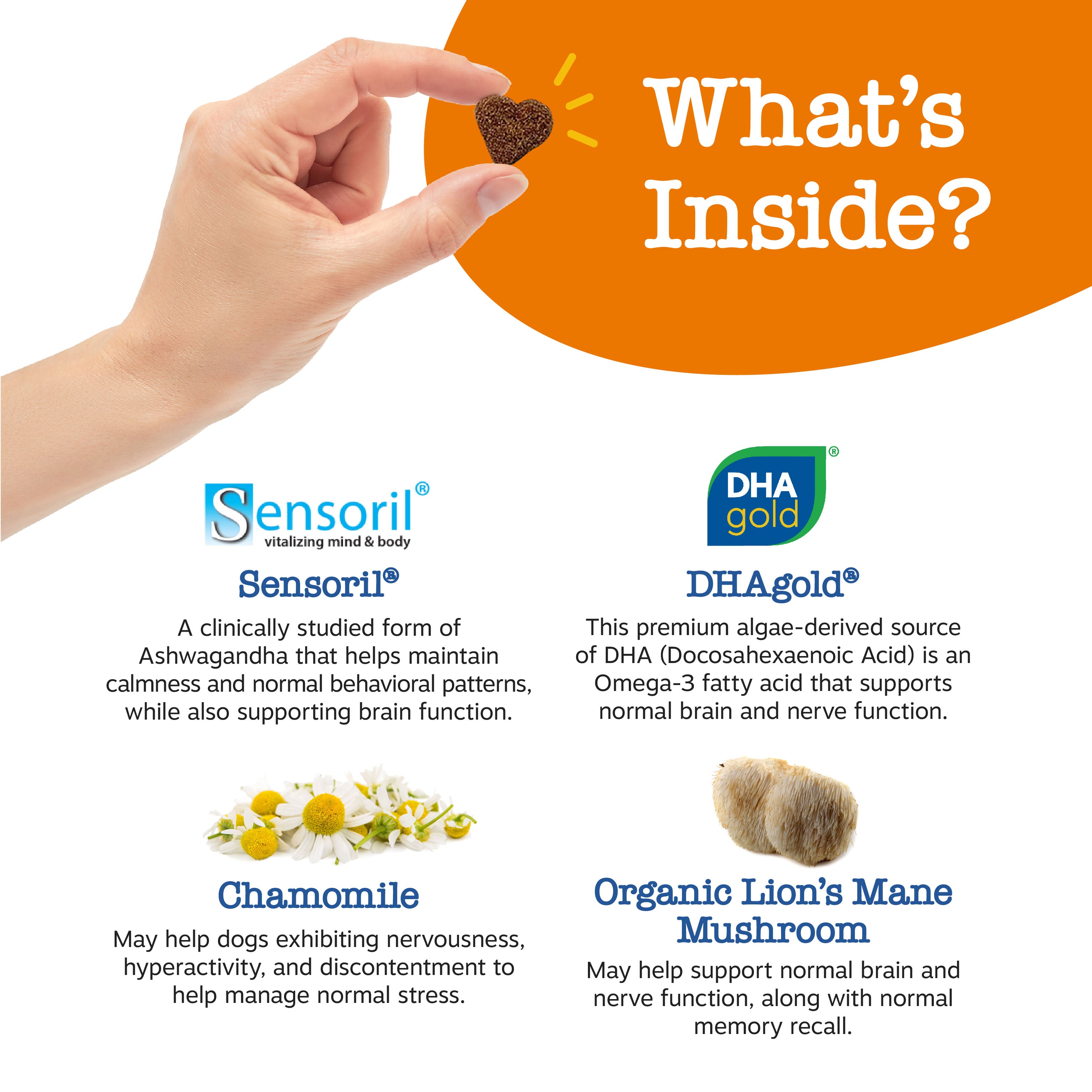 Calming & Cognition Bites™ for Senior Dogs