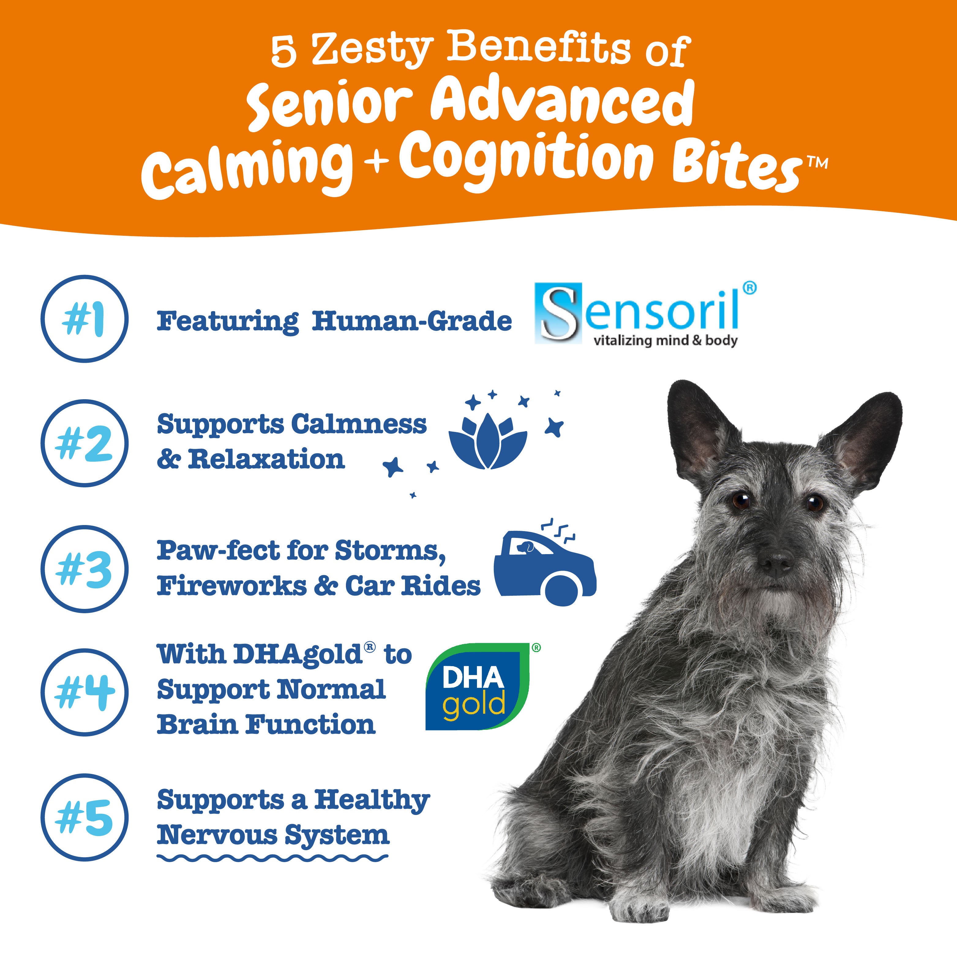 Calming & Cognition Bites™ for Senior Dogs