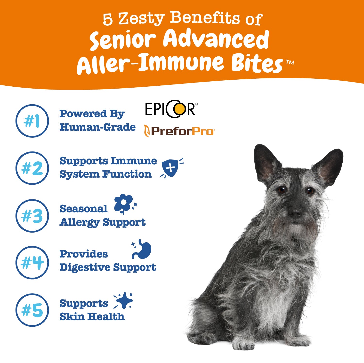 Senior Advanced Allergy & Immune Bites for Senior Dogs