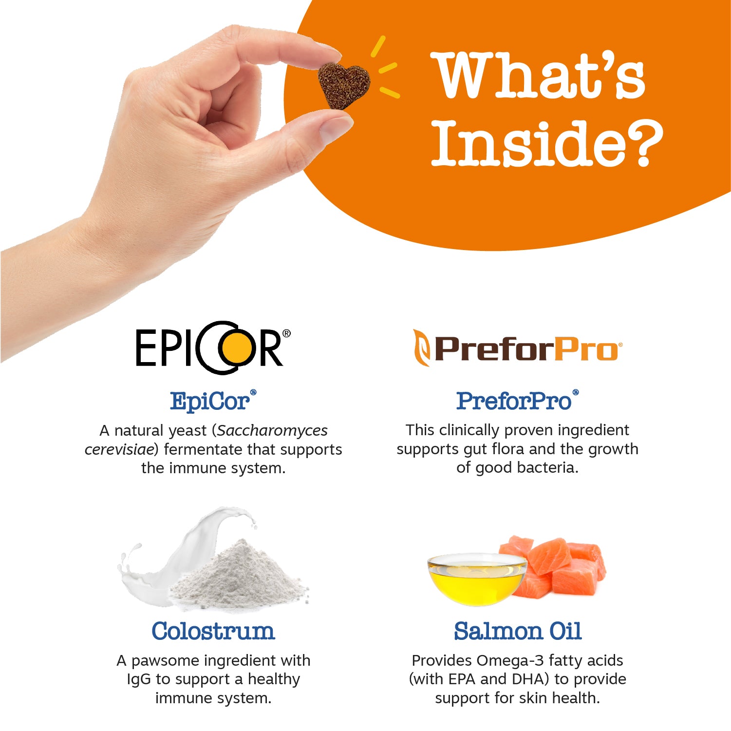 Senior Advanced Allergy & Immune Bites for Senior Dogs