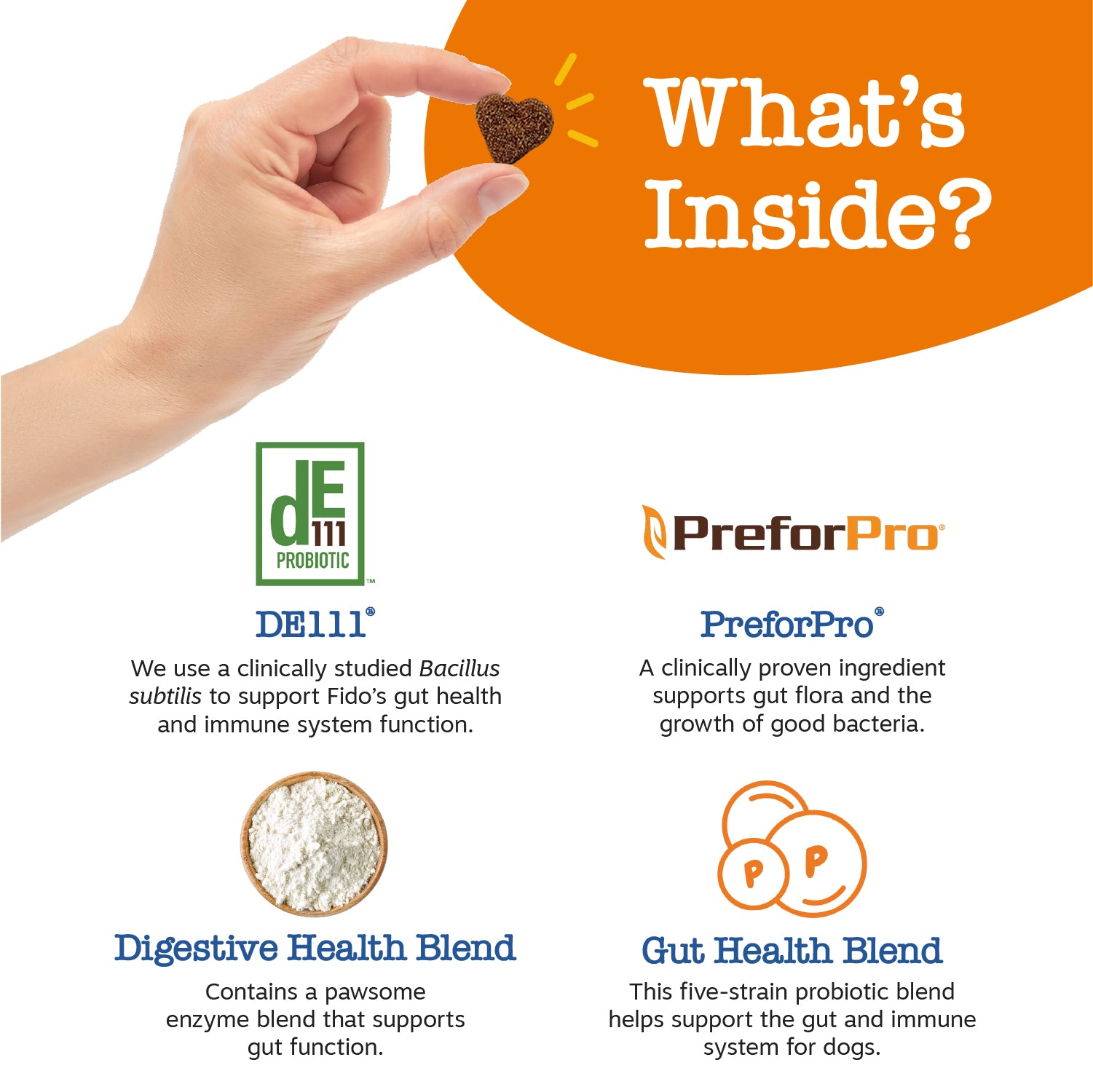 Senior Advanced Probiotic Bites™ for Senior Dogs