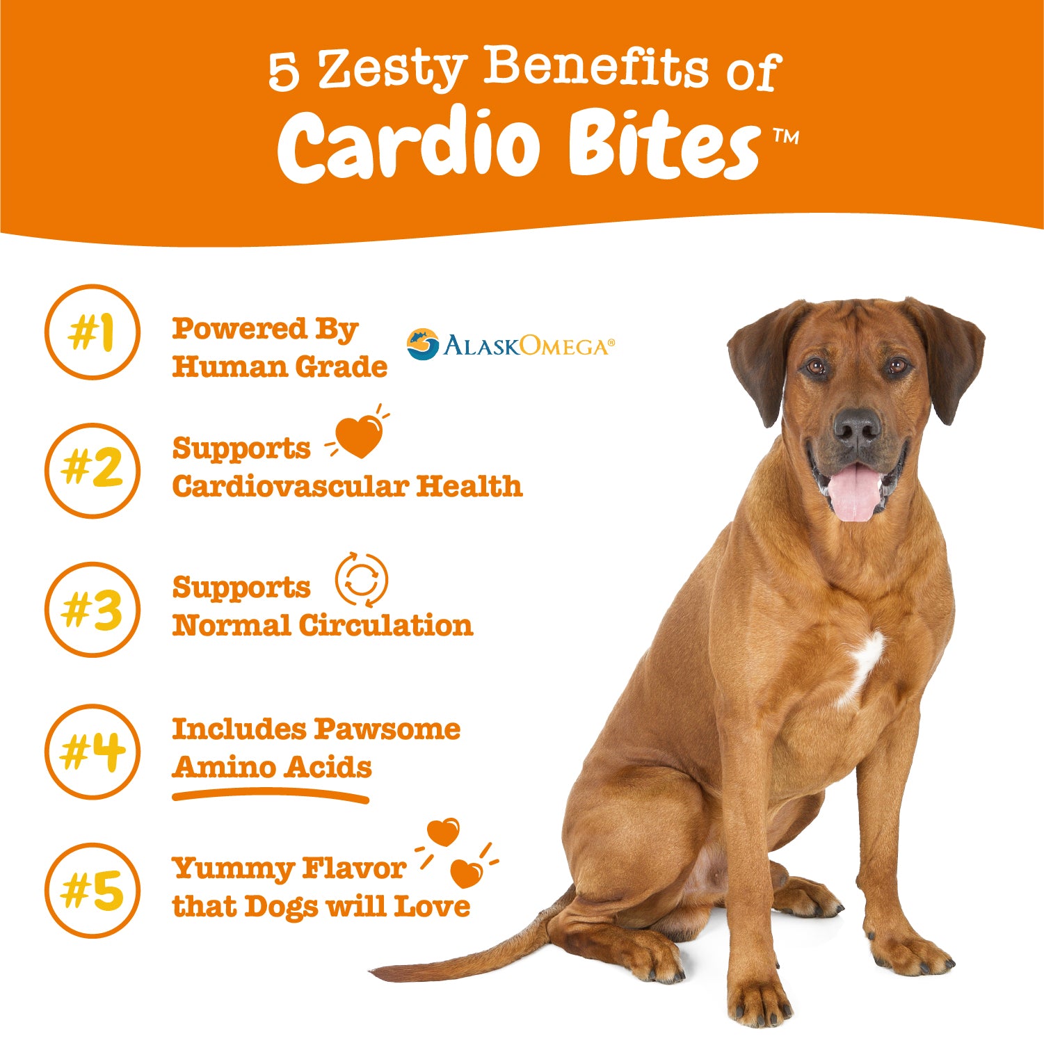 Cardio Bites™ for Dogs
