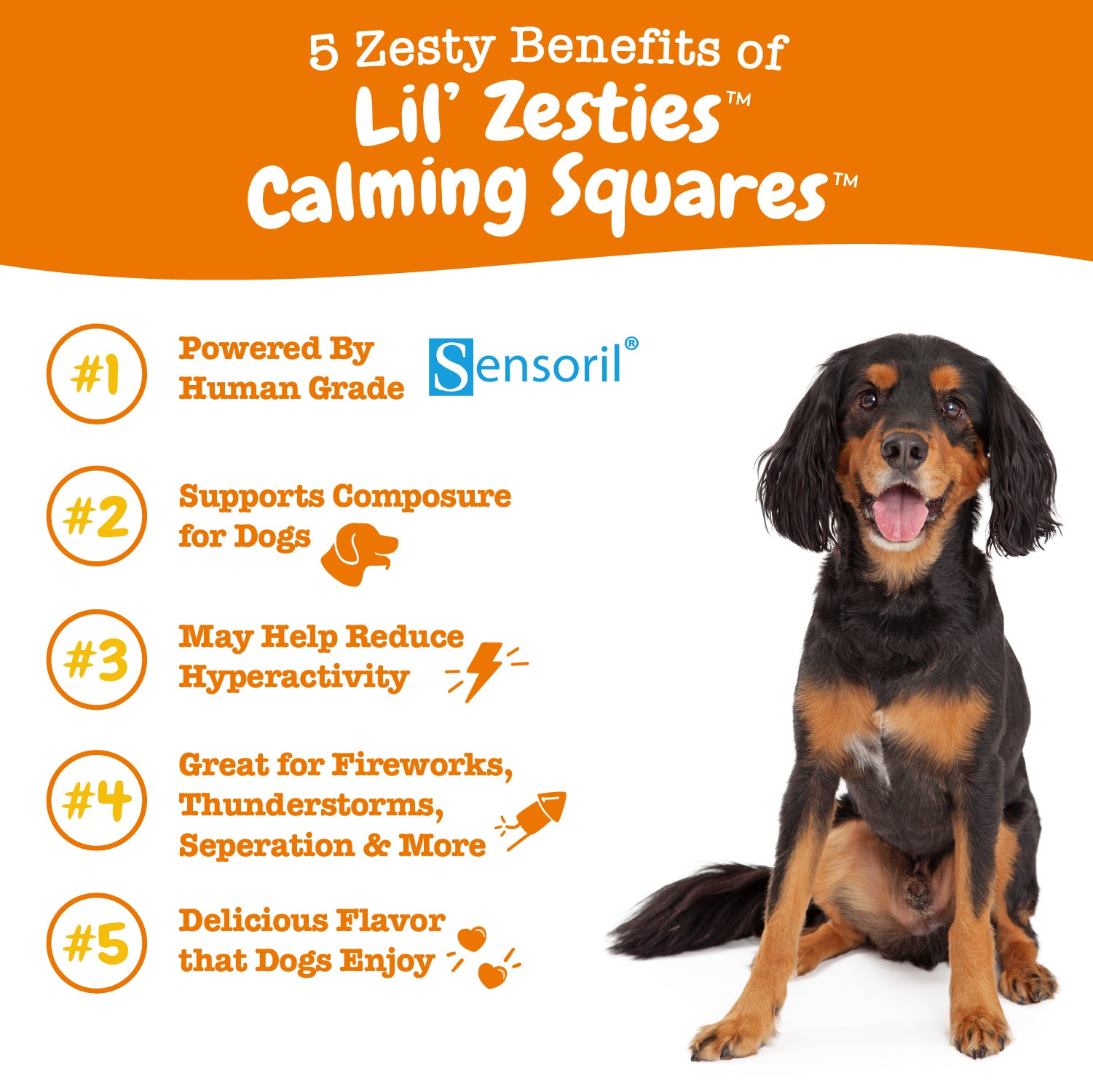 Lil' Zesties™ Calming Squares™ for Dogs
