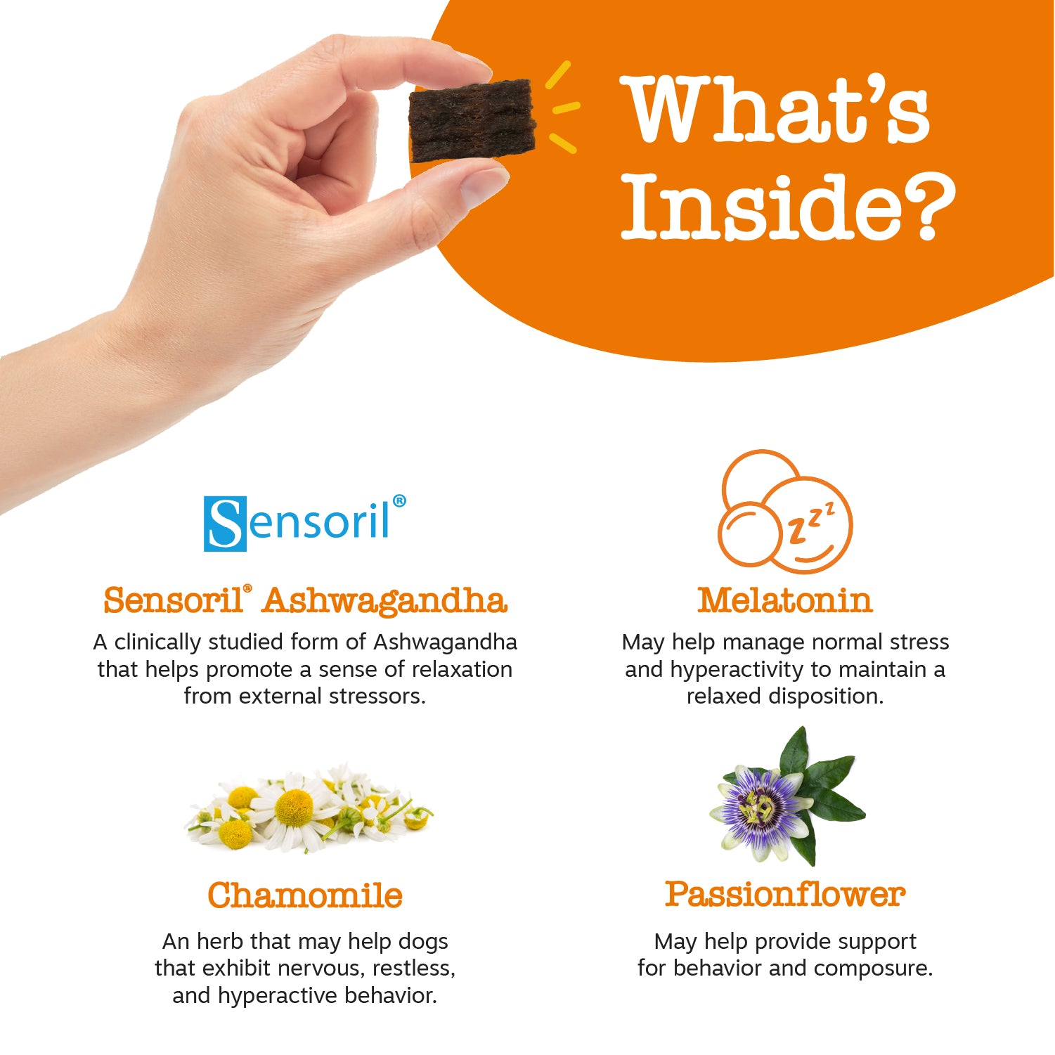 Lil' Zesties™ Calming Squares™ for Dogs