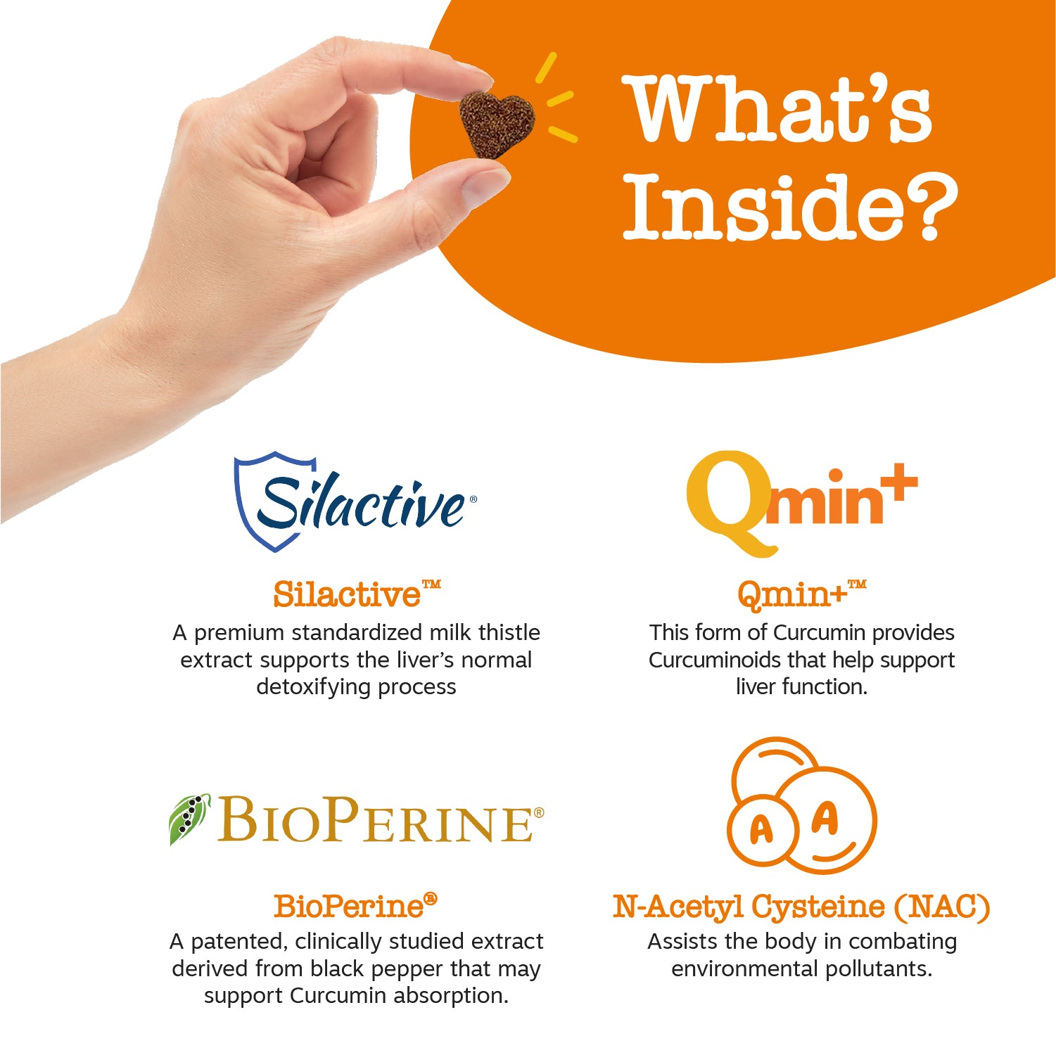 Liver Support Bites™ for Dogs