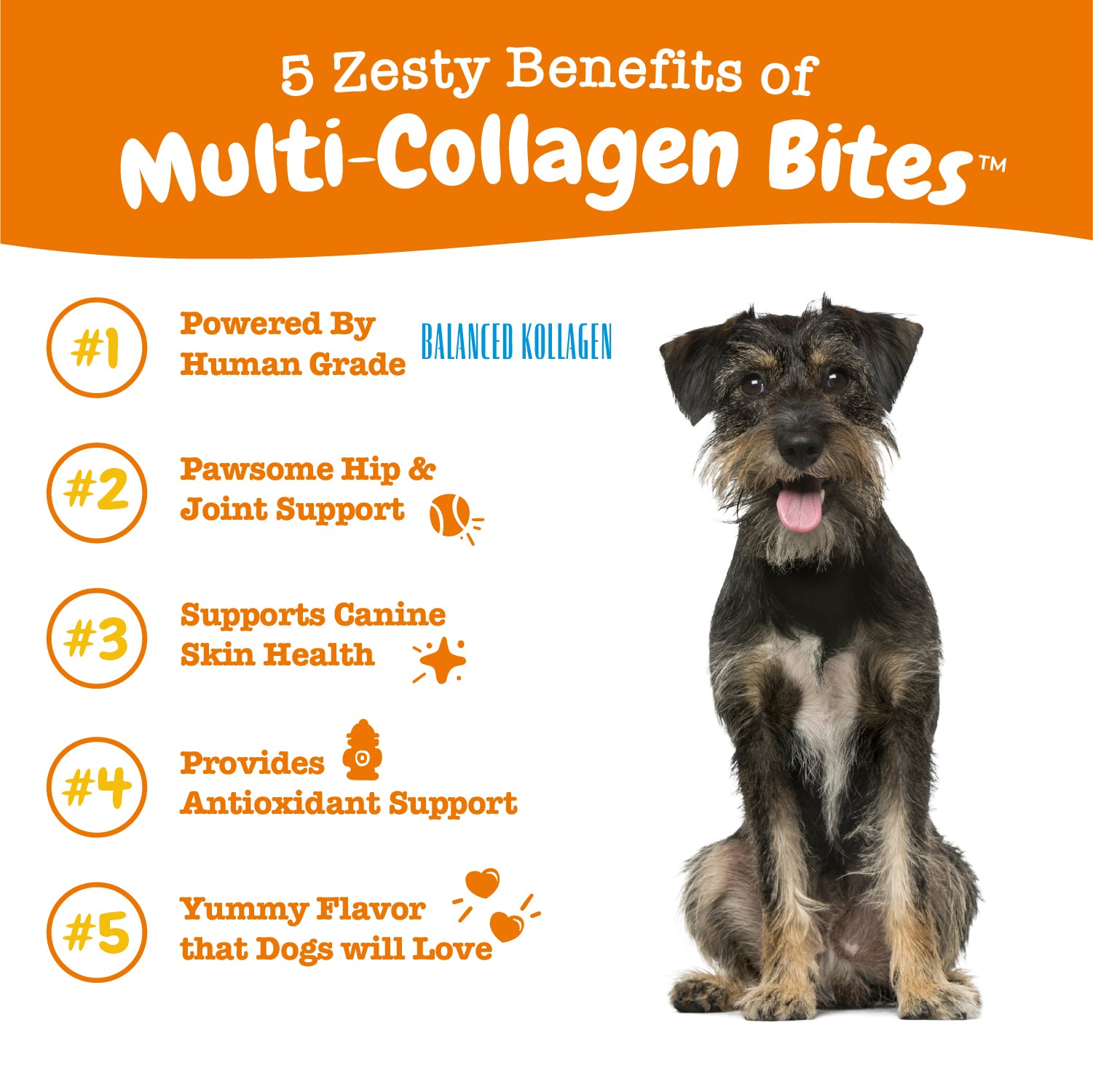Multi-Collagen Bites™ for Dogs