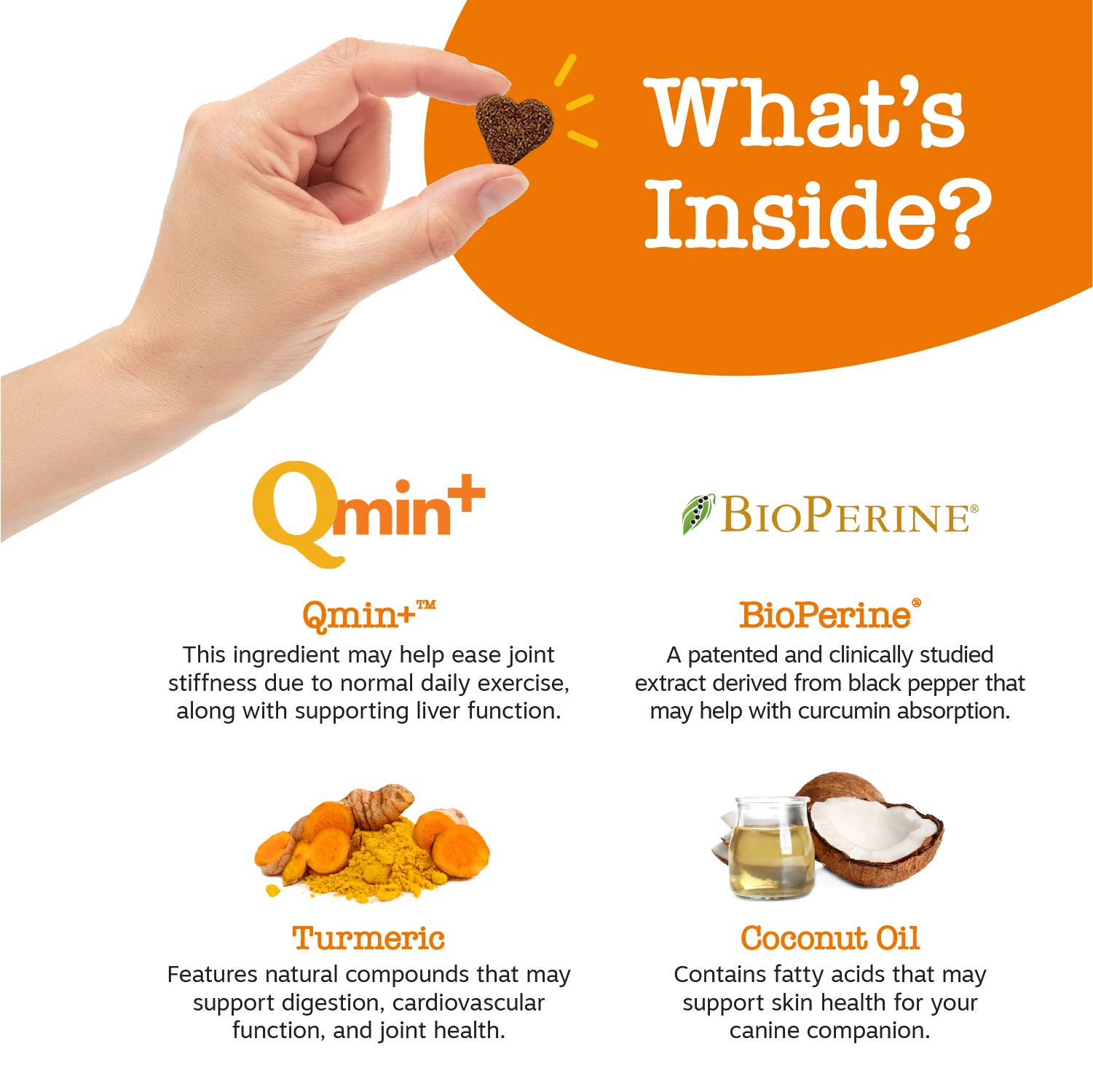 Turmeric Curcumin Bites™ for Dogs