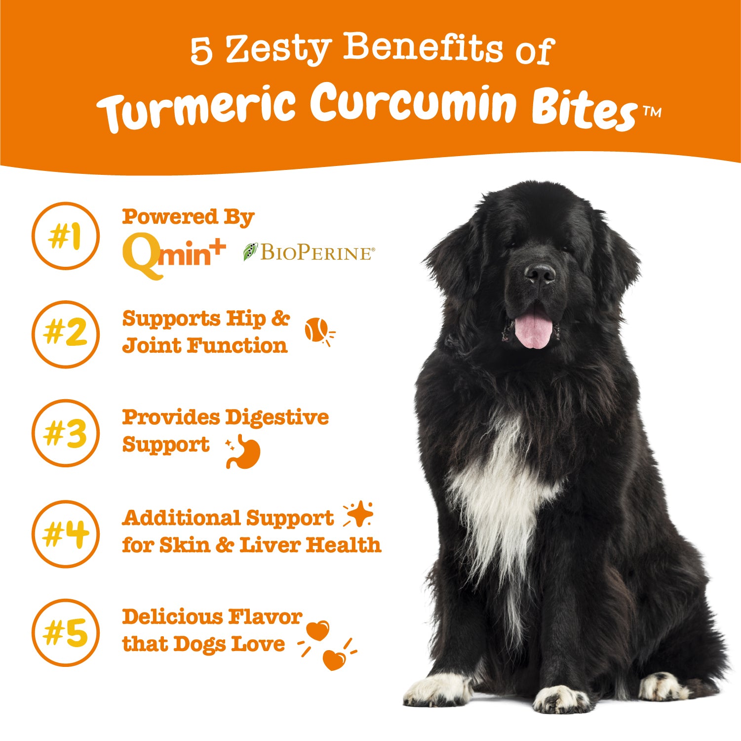Turmeric Curcumin Bites™ for Dogs