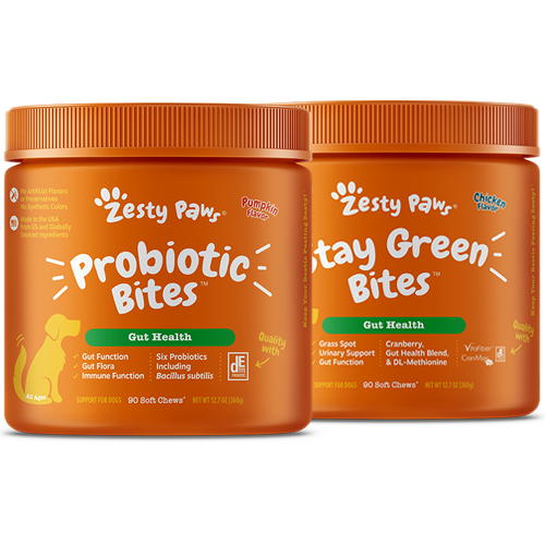 Pumpkin Probiotic Bites Stay Green Bites 2 Pack Zesty Paws