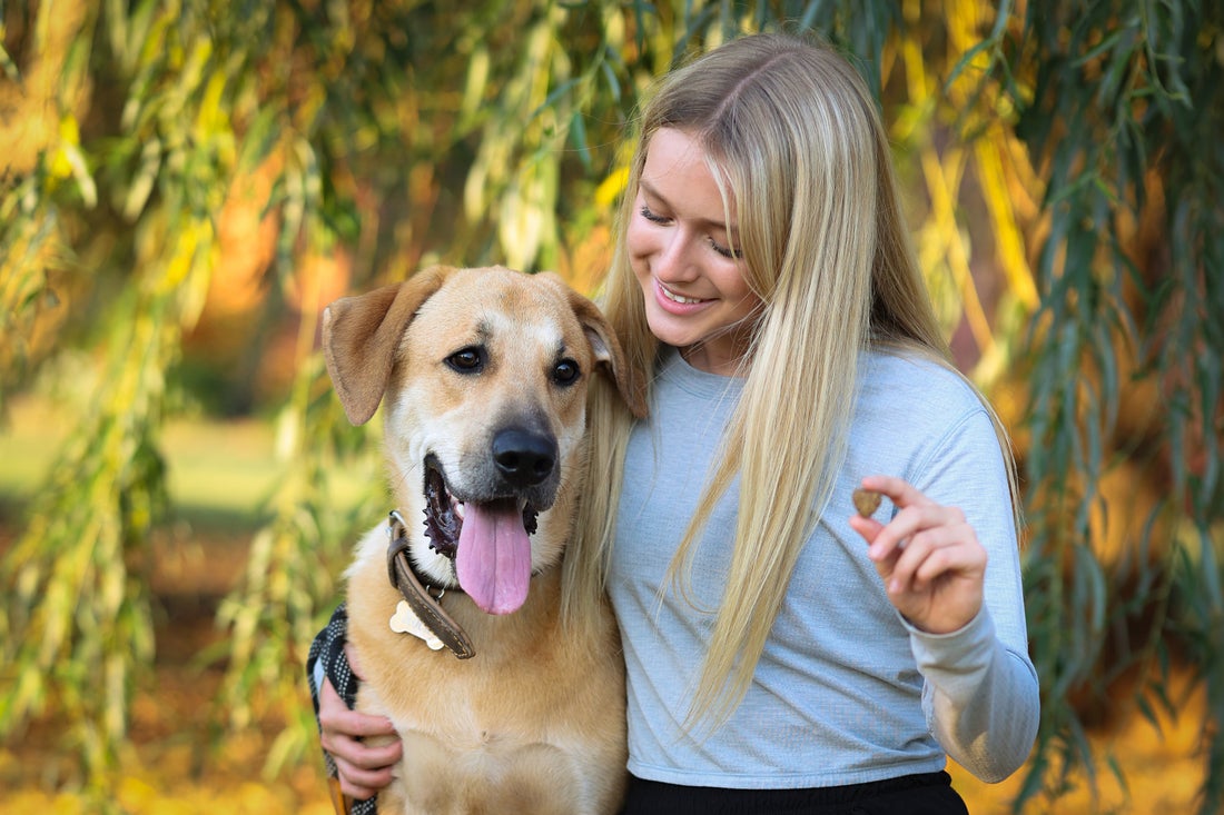 How to Stop Your Dog From Barking
