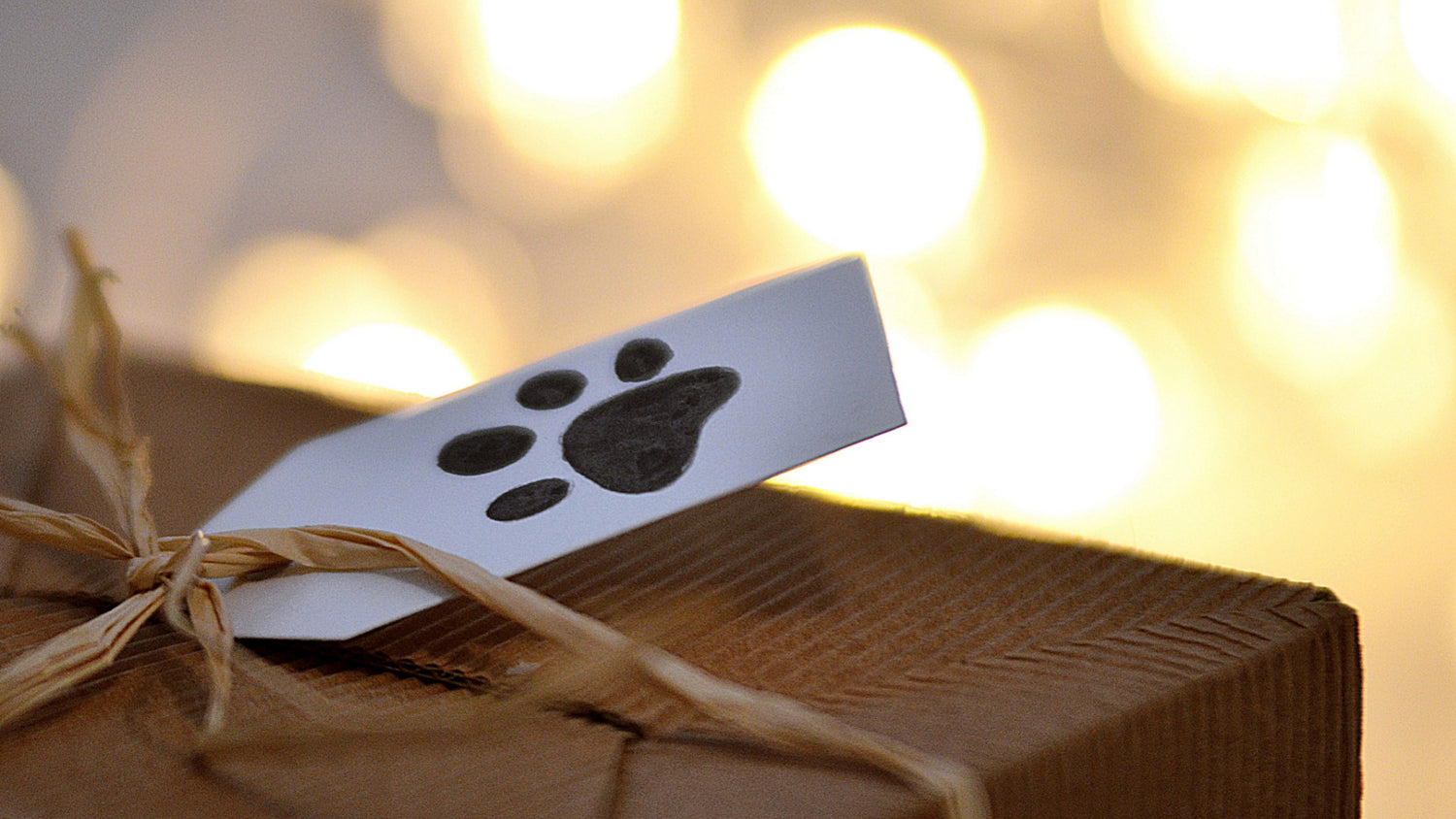 Holiday Gift Guide 2023 for Dogs & Cats