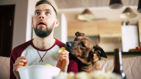 dangerous foods that dogs can't eat