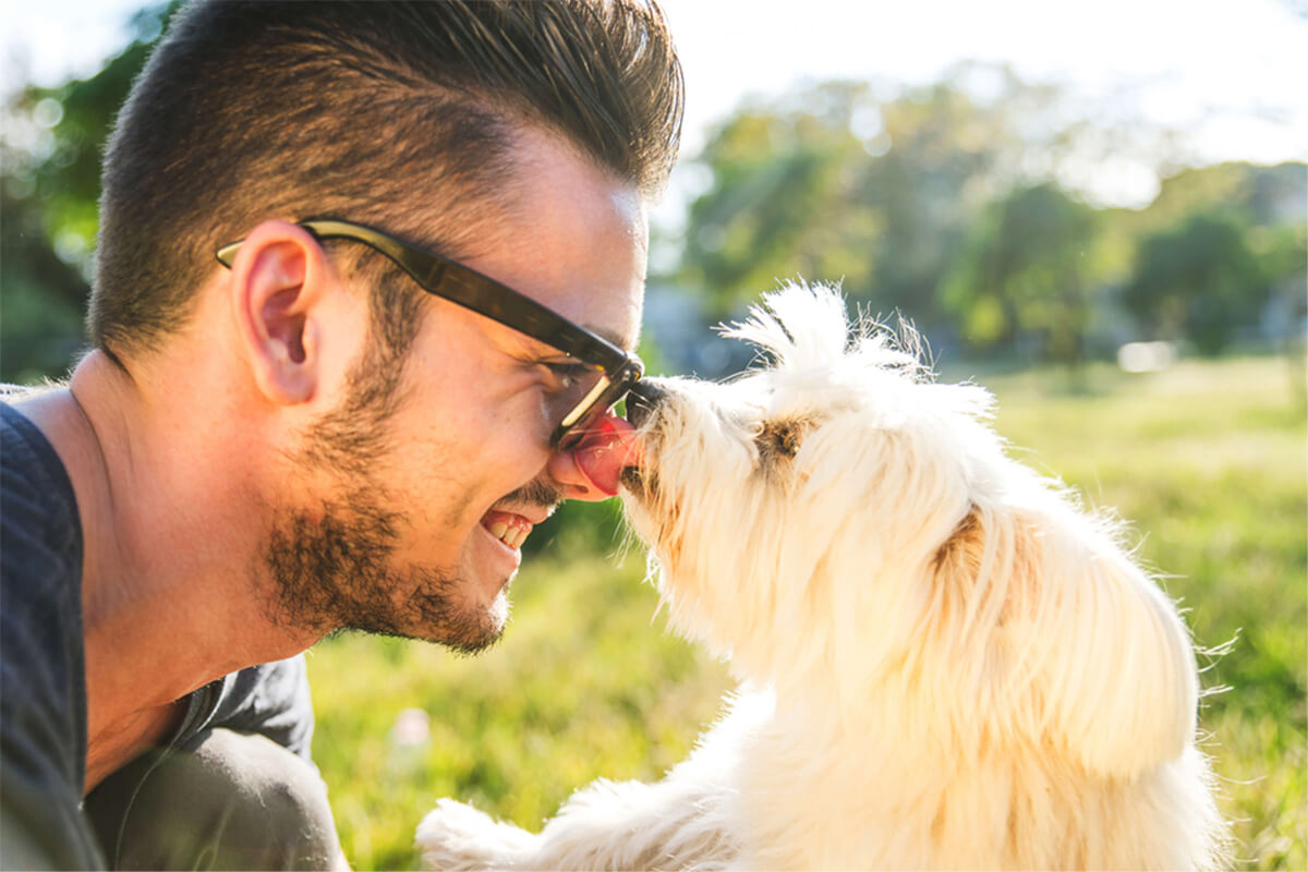 10 Best Tips for New Dog Parents