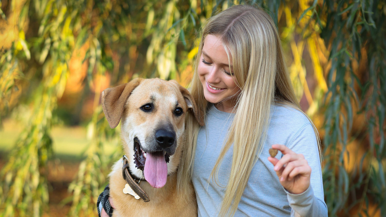 How to Stop Your Dog From Barking