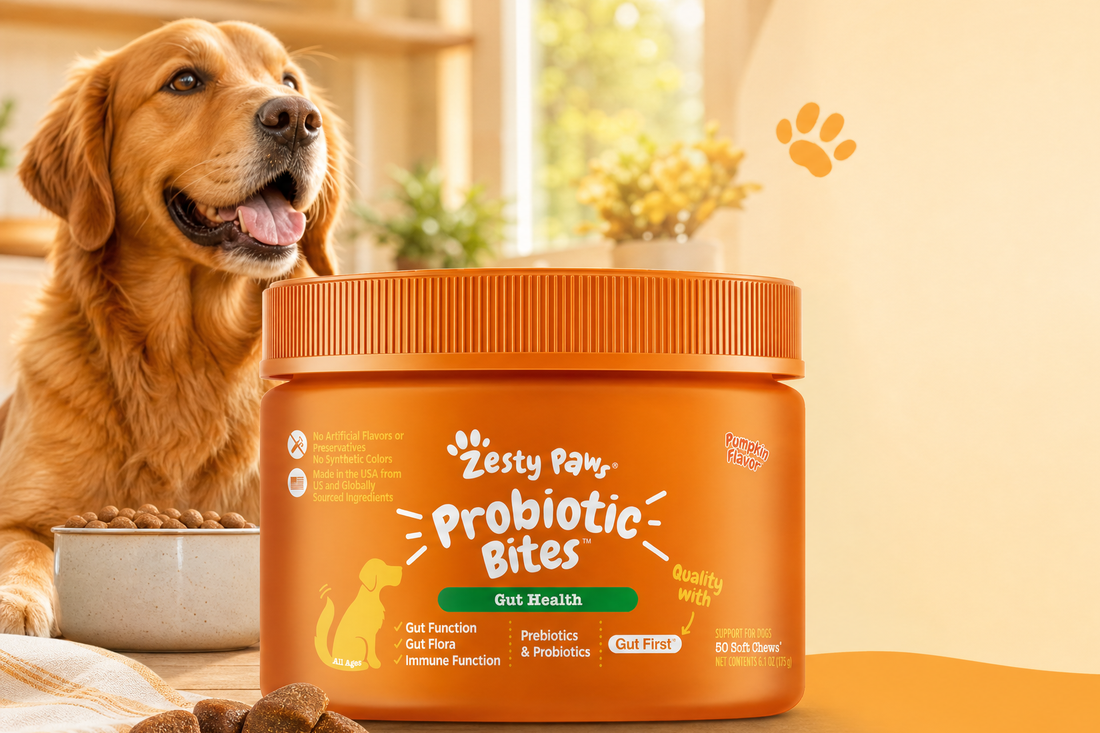 Dog Probiotics 101