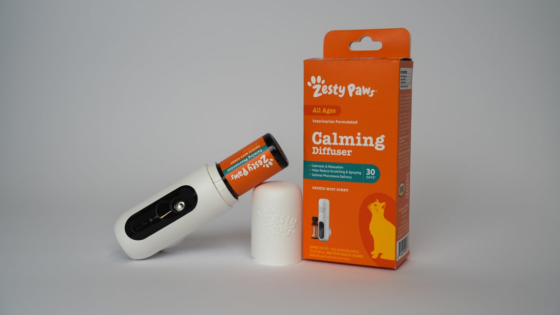 Cat Calming Diffusers: How They Fit Into Your Cat's Routine