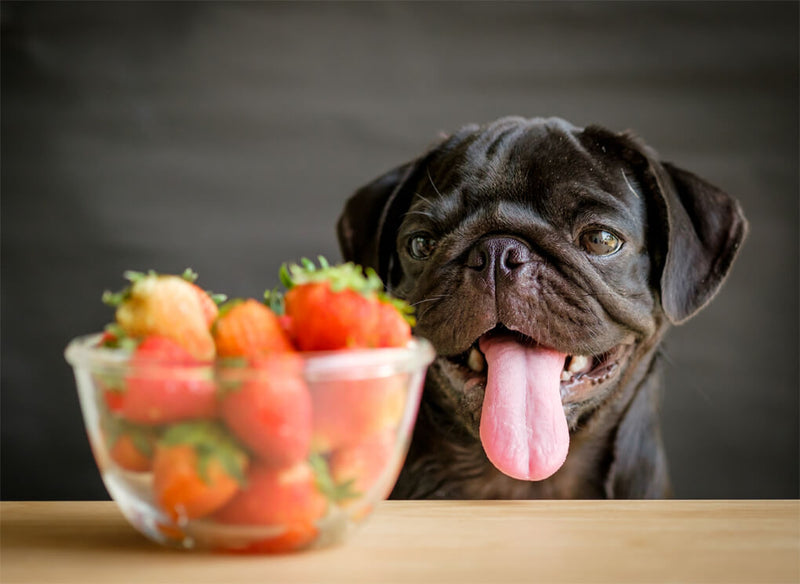 Best Dog Treat Recipe - Berry Hearts