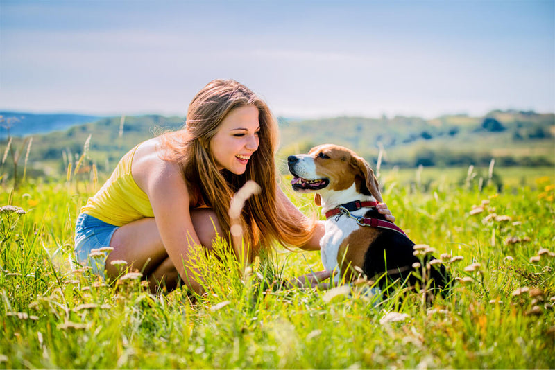 3 Best Ingredients to Help with Dog Allergies