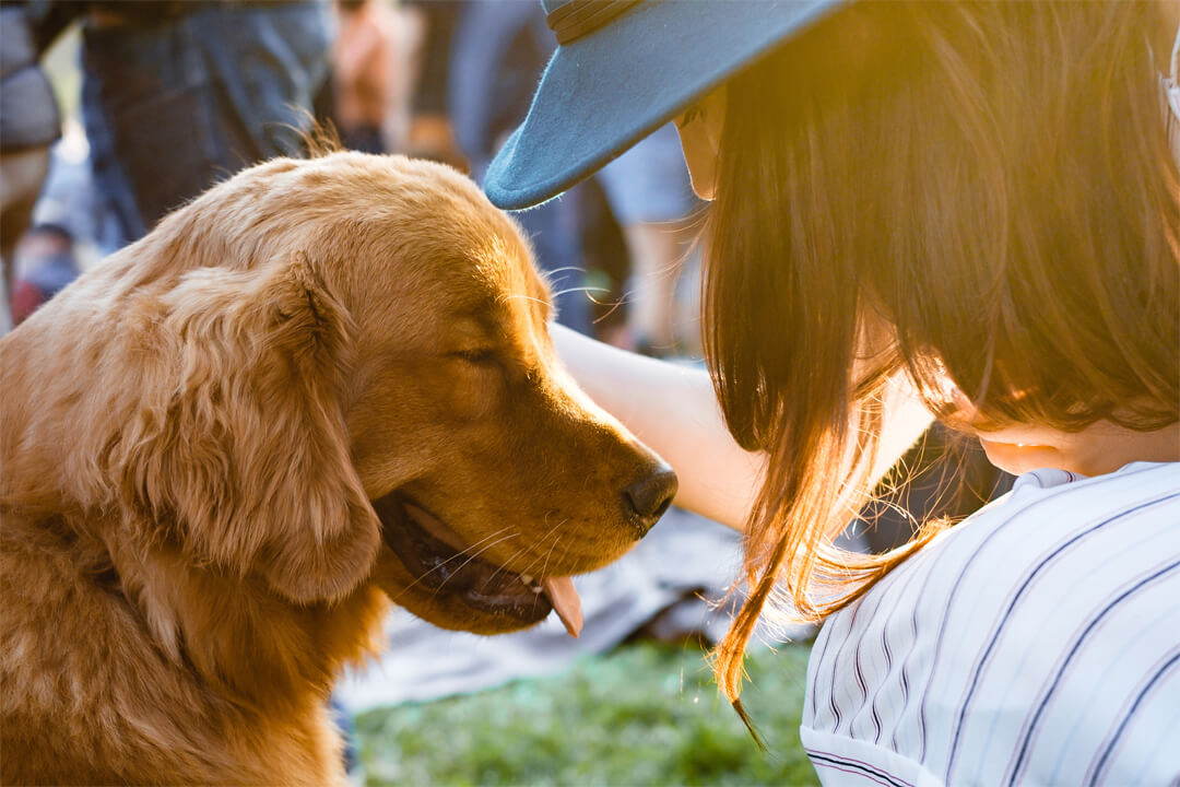 5 Best Tips to Help Clear the Shelters