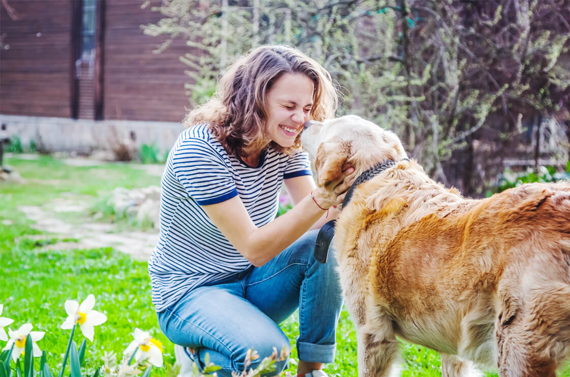 How to Care for Your Senior Dog